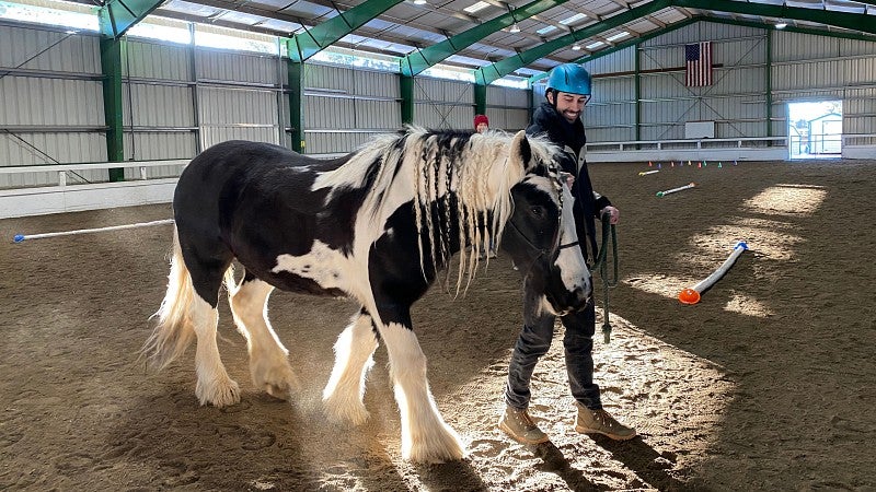 Student walking a horse around an indoor arena