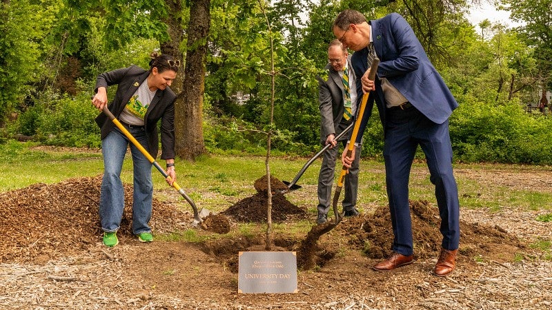 Three university leaders do a ceremonial planting of a tree