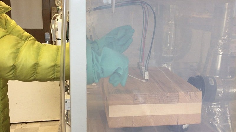 Researcher taking samples from a wood slab in a sealed box