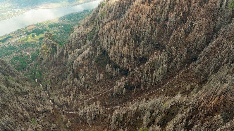 Debris slide on a steep slope in the Columbia River Gorge