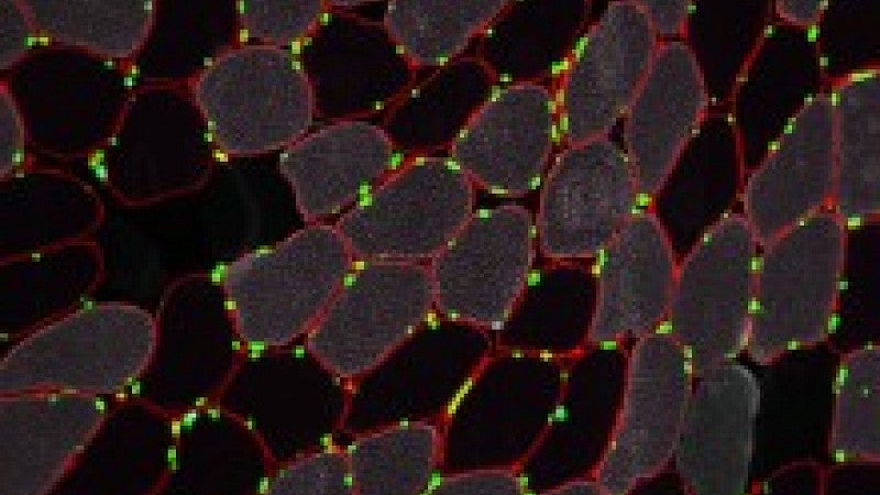 sceience-revealed-photo-contest