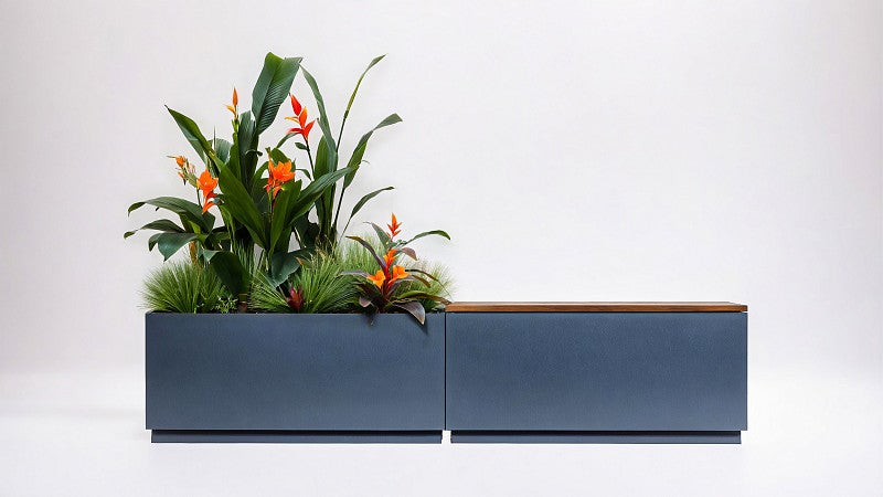 A plant-driven system for cleaning greywater