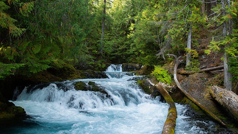 Rapids in a river
