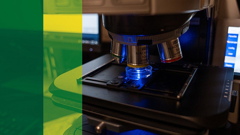 A microscope with a blue light shines on a small dish
