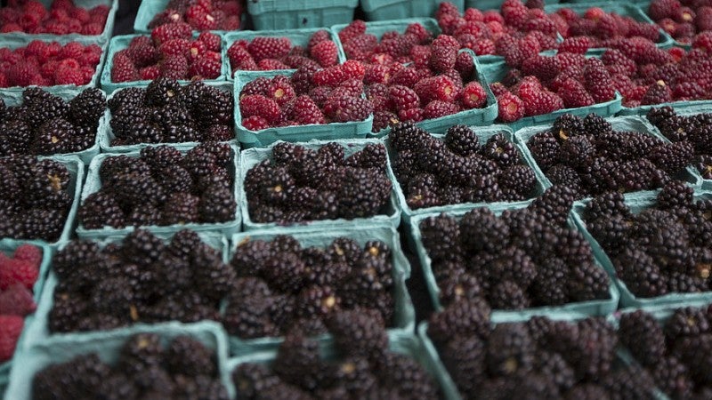 Berries at a farmer's market