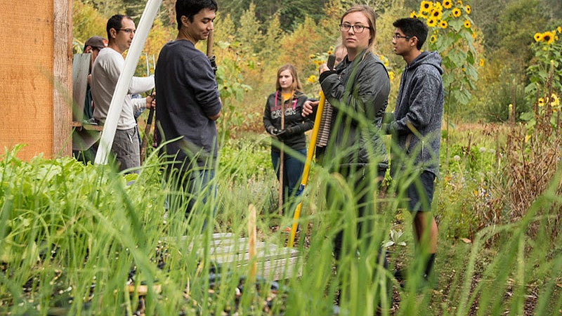 Kiara Kashuba working with Project Tomato