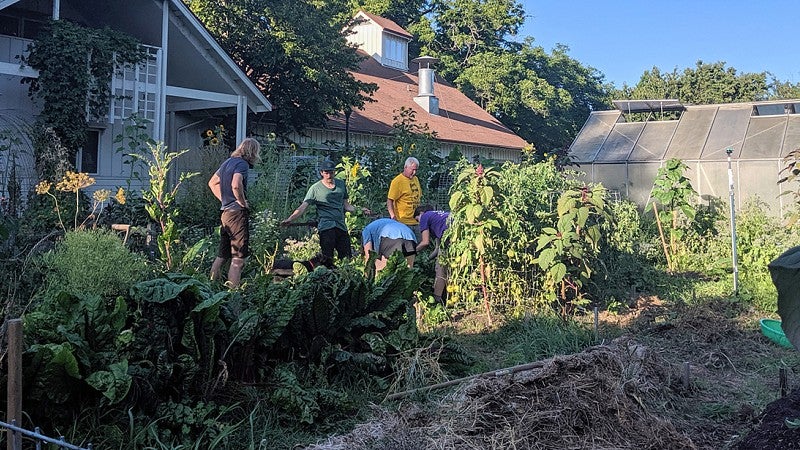 The Urban Farm