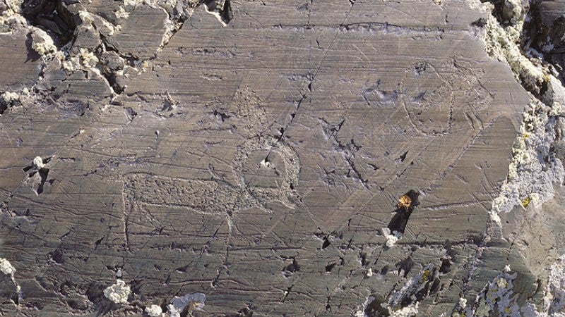 Stone etching of an archer aiming at an argali (wild mountain sheep). Bronze Age. Photo: Gary Tepfer.