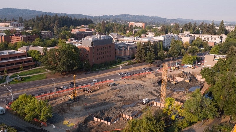 A view of the site