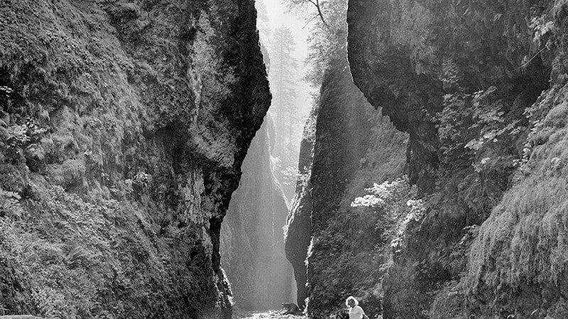 Oneonta Gorge by Ray Atkeson