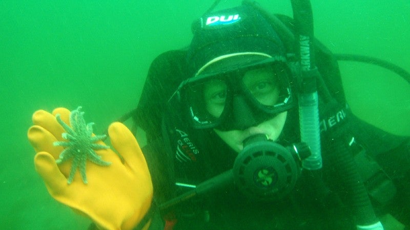 Susan Gravem holding baby sea star (Copyrighted photo by Aaron Galloway)