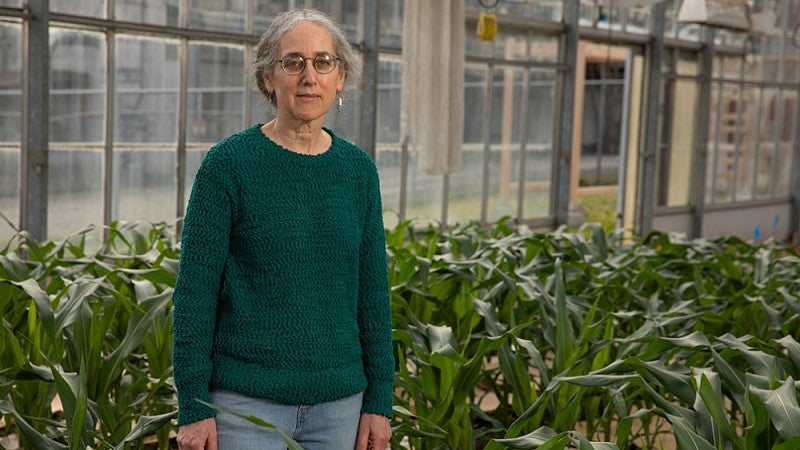 Alice Barkan in greenhouse