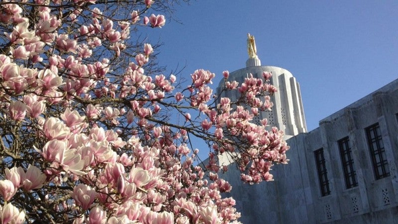 Oregon Capitol