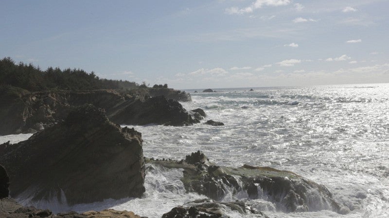 Oregon Coast