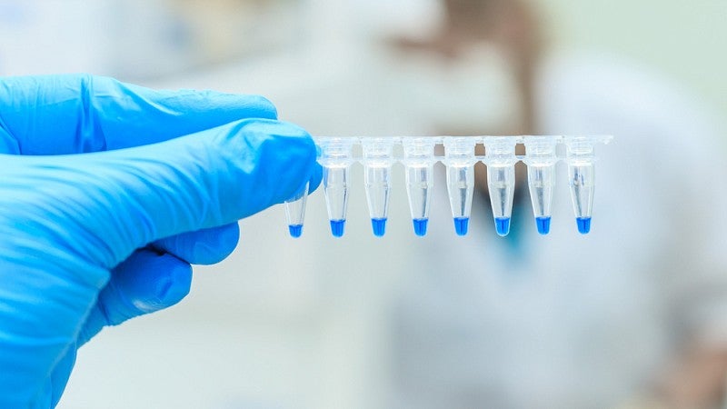 Lab worker holding DNA samples