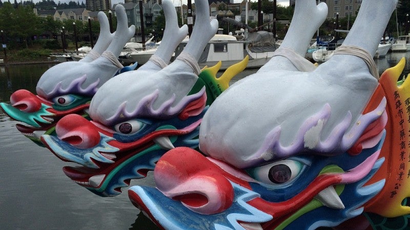 Dragon boats at the Portland waterfront.