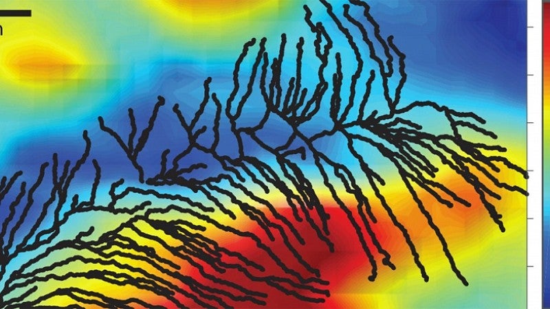 Same drainage area on ice sheet overlaid on bedrock topography