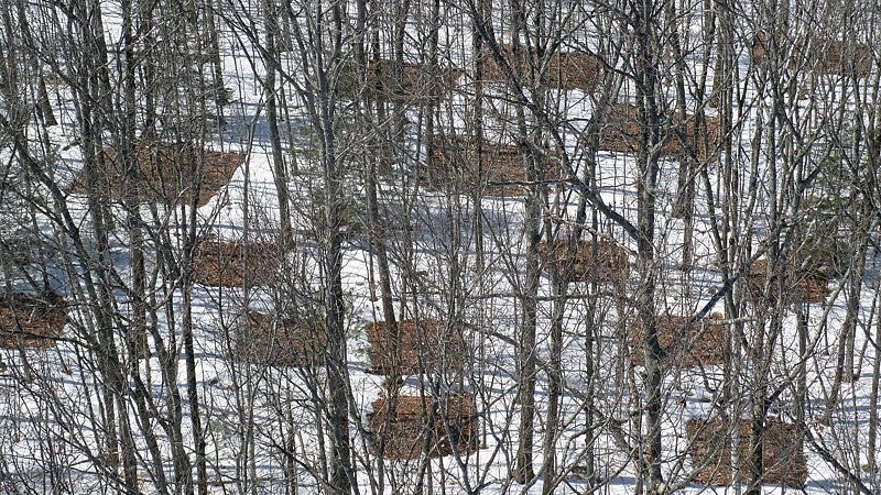 Photo shows experimental plots used at Harvard Forest in Massachusetts as part of the PNAS study