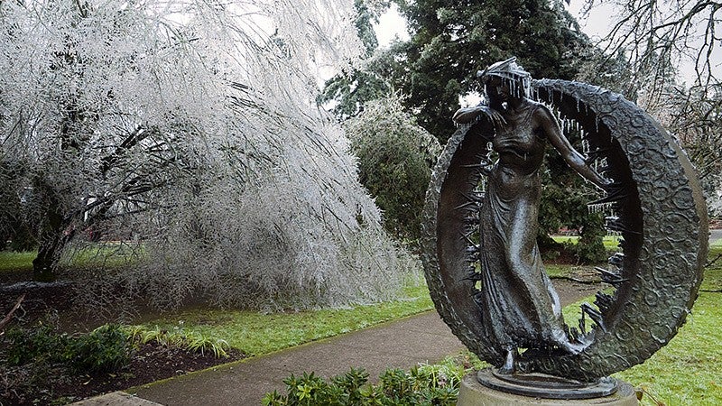 Statue near Straub Hall