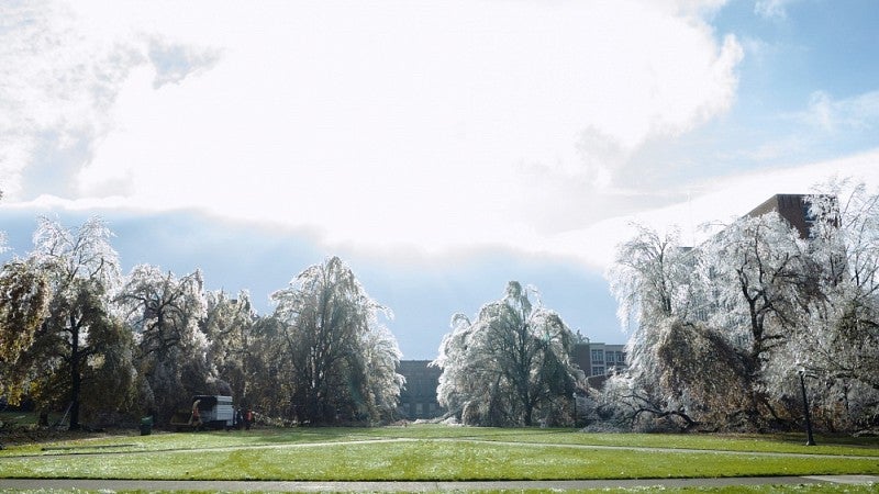 A view of the Memorial Quad.