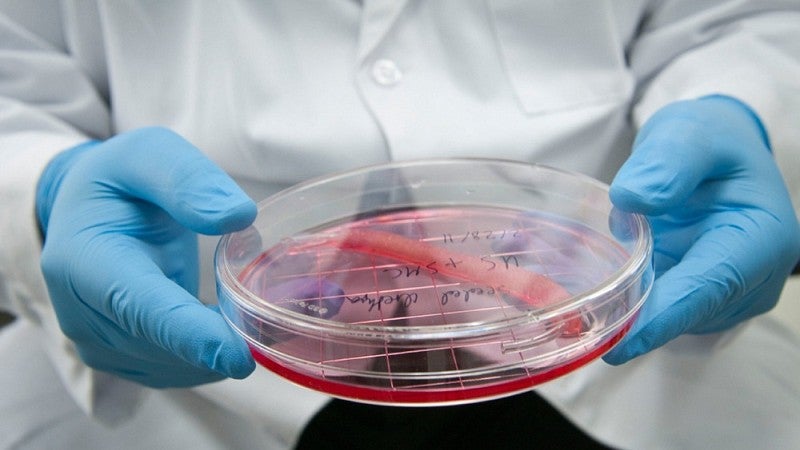 Researcher holding culture dish