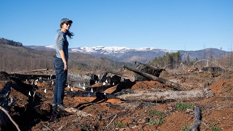 Lauren Ponisio at Whitewater Ranch burn site