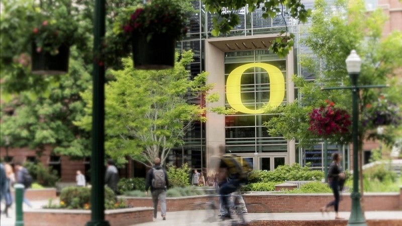 Lillis Hall exterior in summer