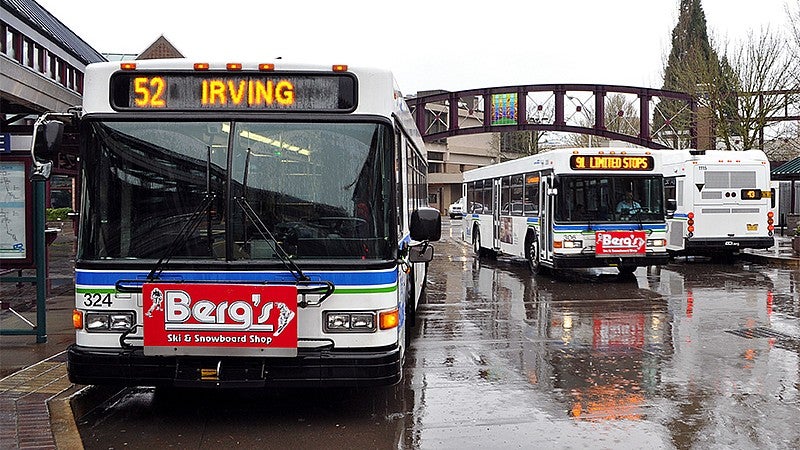 Lane Transit District buses on a rainy day