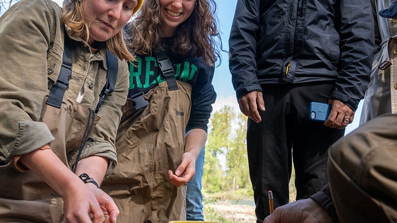 Students helping check fish