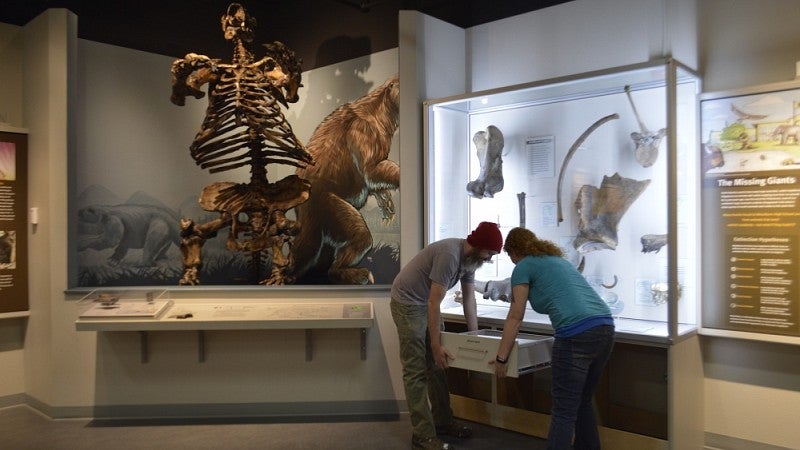 Repairing an exhibit