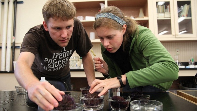 UO researchers have pushed research funding up 4 pecent in the last year