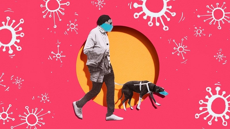 Illustration of man and dog with face masks