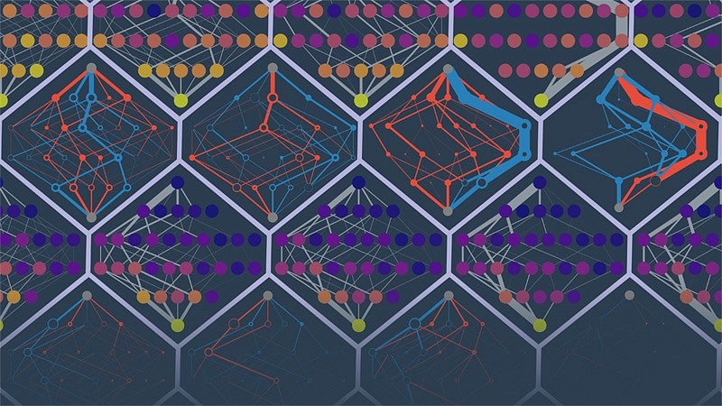 Illustration of predicted protein evolutionary routes
