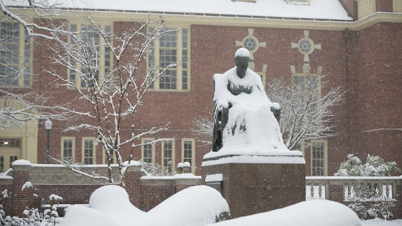 Snow scene