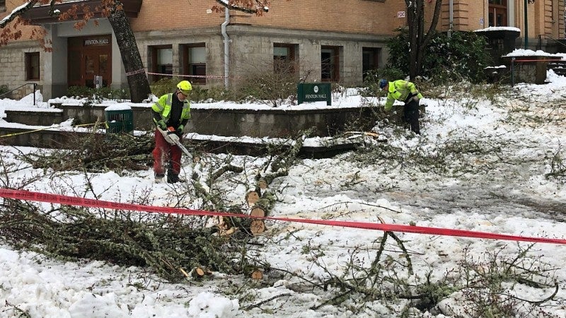 Clearing limbs