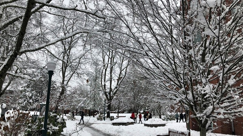 Heavy snow on campus