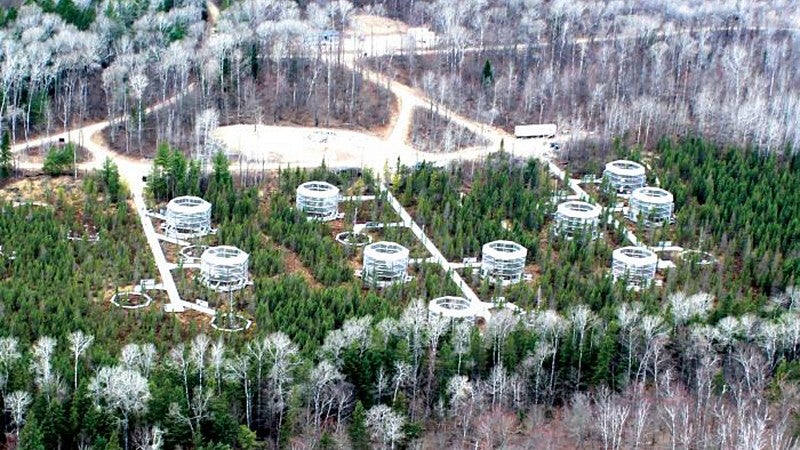 The SPRUCE study site