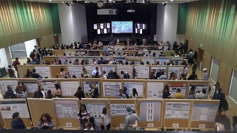 The 2019 Undergraduate Research Symposium poster session