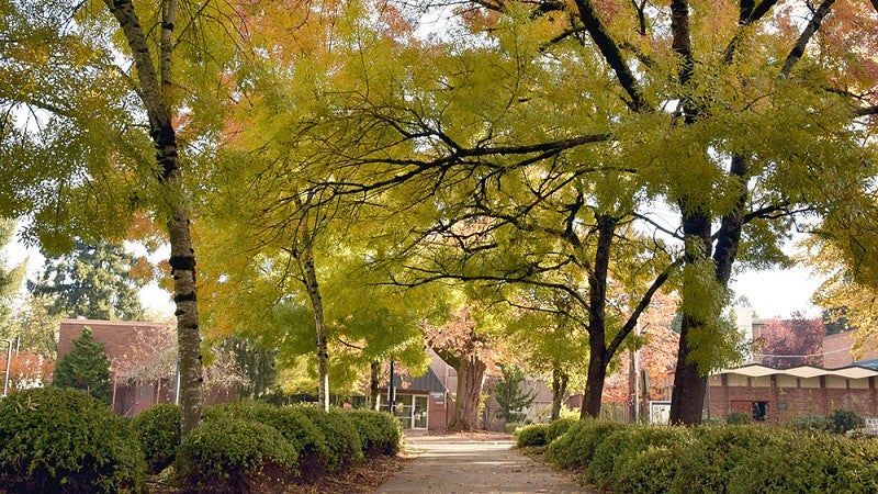 New UO Portland campus