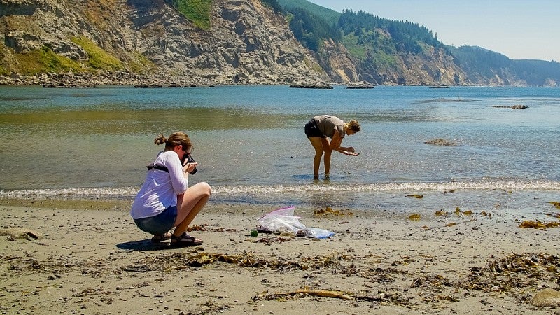 Beach scene