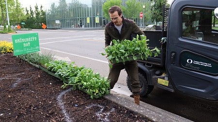 An employee stacks trays of flowers on a planter for planting