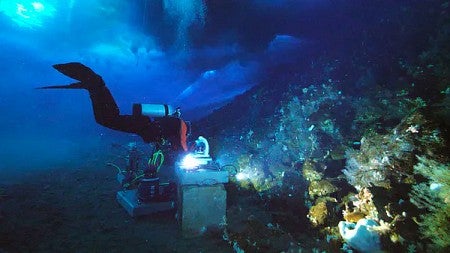 The McMurdo Oceanographic Observatory