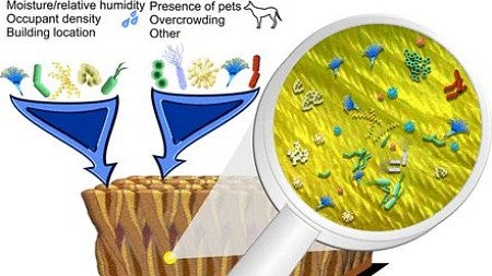 Microbiome illustration