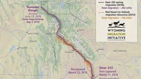 Map of migration route