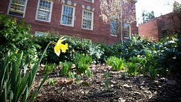 Spring on campus