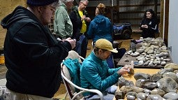 Fossils are sorted and identified