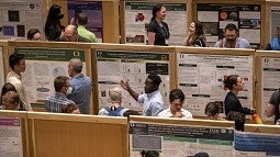 Students explain their research at a poster session