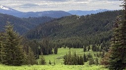 The Upper Middle Fork landscape 