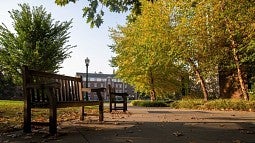 wooden benches near Straub Hall during fall