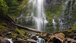 Proxy Falls east of Eugene